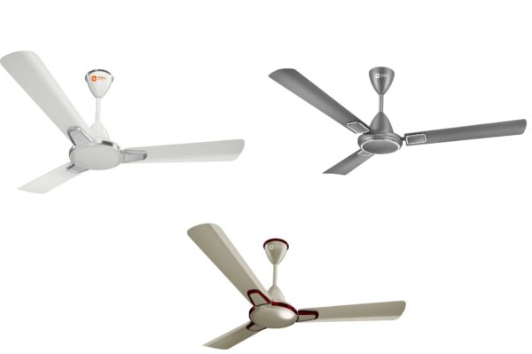 Orient Normal Fan MORACE-Decorative Fans - Image 2