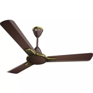 Orient Normal Fan MORACE-Decorative Fans