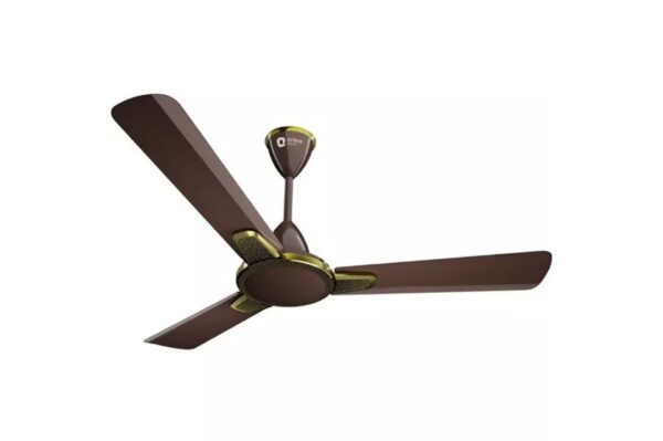 Orient Normal Fan MORACE-Decorative Fans