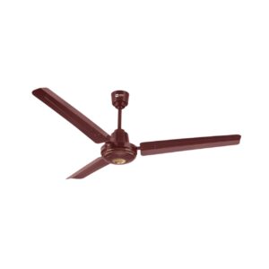 Orient Normal Fan Summer Cool-Decorative Fan
