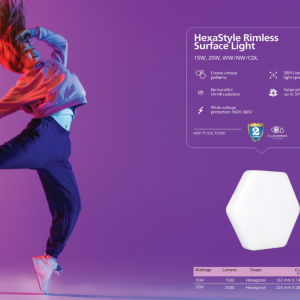 Philips Hexastyle Rimless Surface Light 15W Downlighter(Cool Day Light)